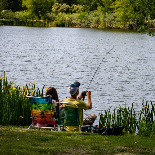 Cele mai bune tehnici de pescuit pentru începători: sfaturi și trucuri pentru o captură de succes