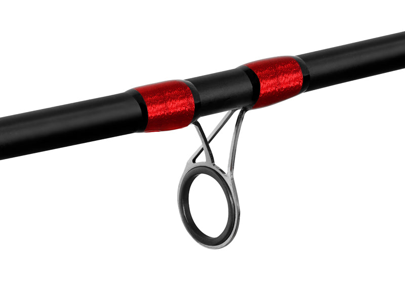 Delphin LEEDER Feeder + 2 vărfuri 360cm/100g/3 tronsoane