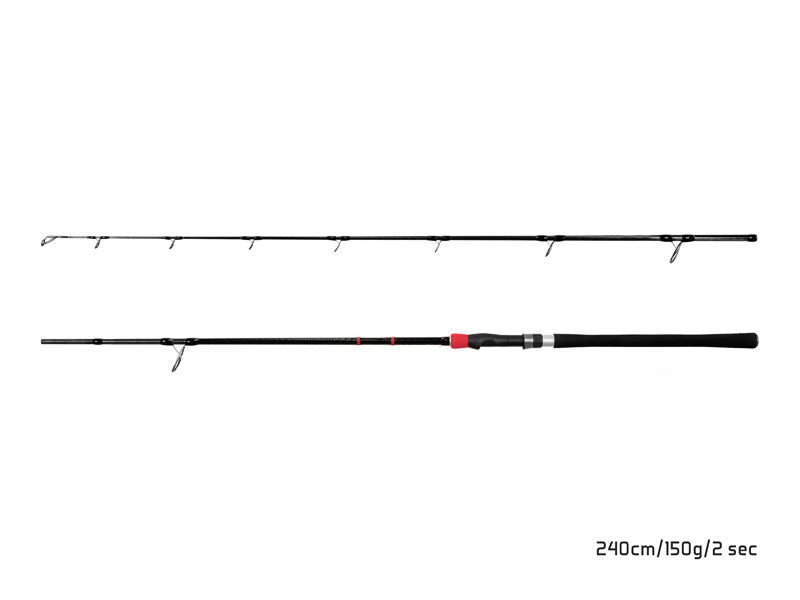 Delphin RIVERA NX 210cm/150g