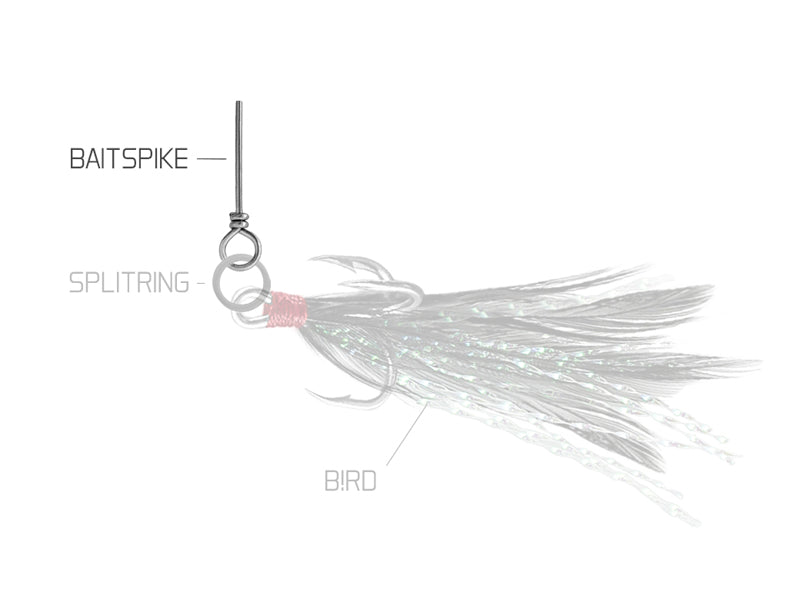 Delphin BAIT SPIKE L/30mm/10ks