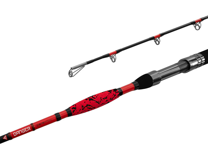 Delphin DANGER CatFISH 285cm/350g/2 tronsoane