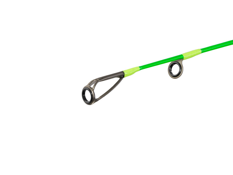 Delphin DUNAY Carp 2,4m/200g/2 tronsoane