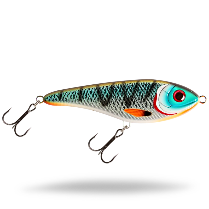 Buster Jerk Shallow - Tiger Cichlid