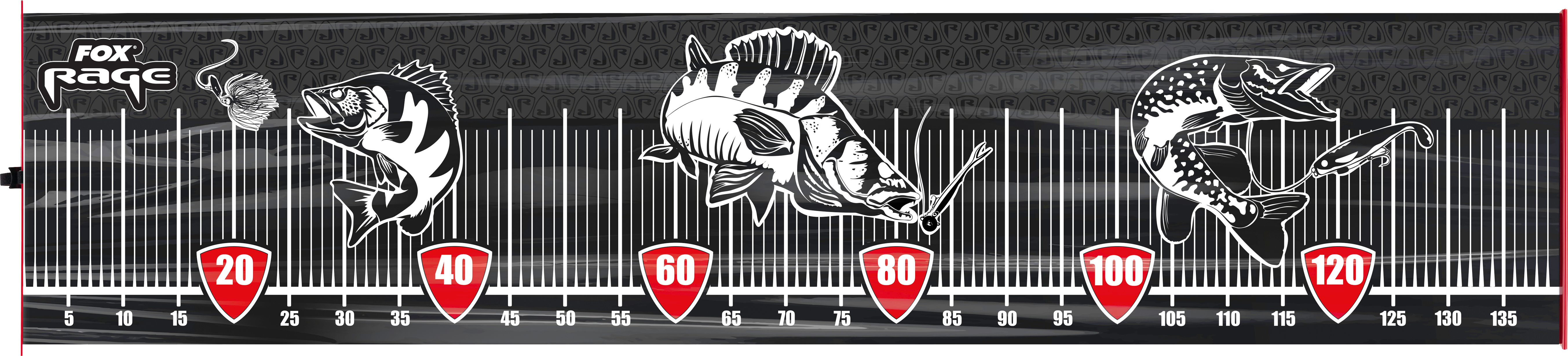 Large Fish Measure