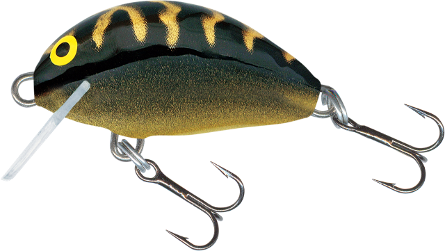 Tiny Floating 3cm Black Tiger