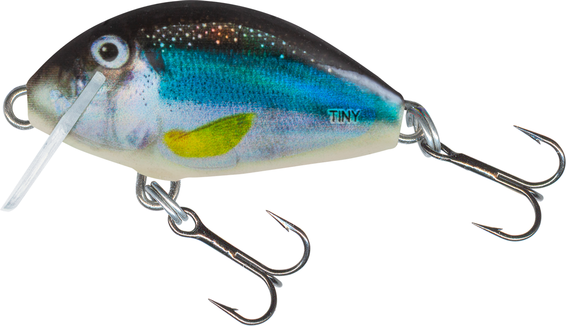 Tiny Floating 3cm Holo Smelt