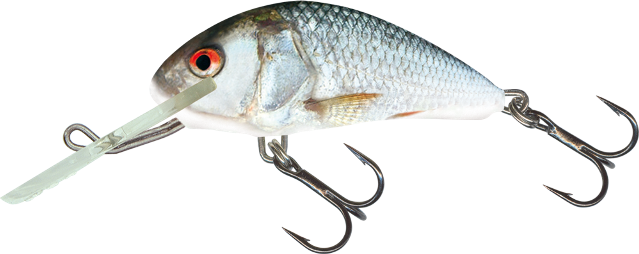 Hornet Floating 6cm Real Dace