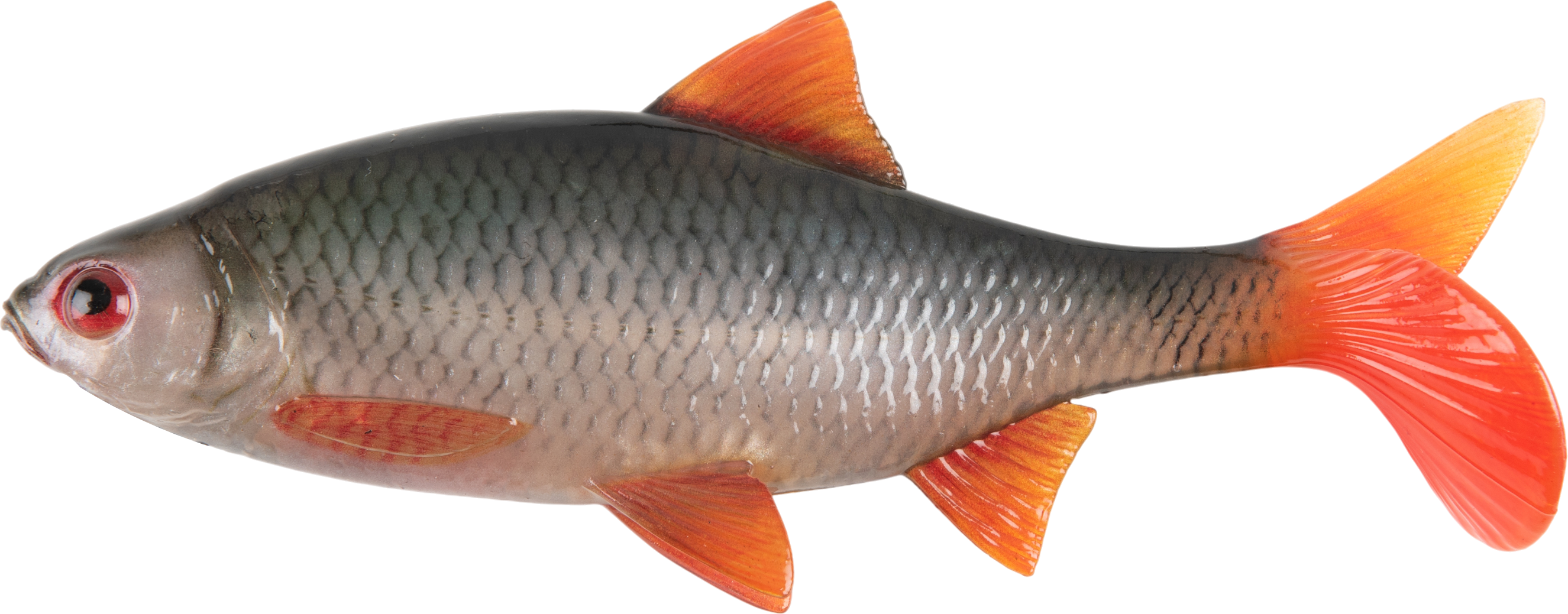 Ultra Natural Roach 14cm 20in Bulk