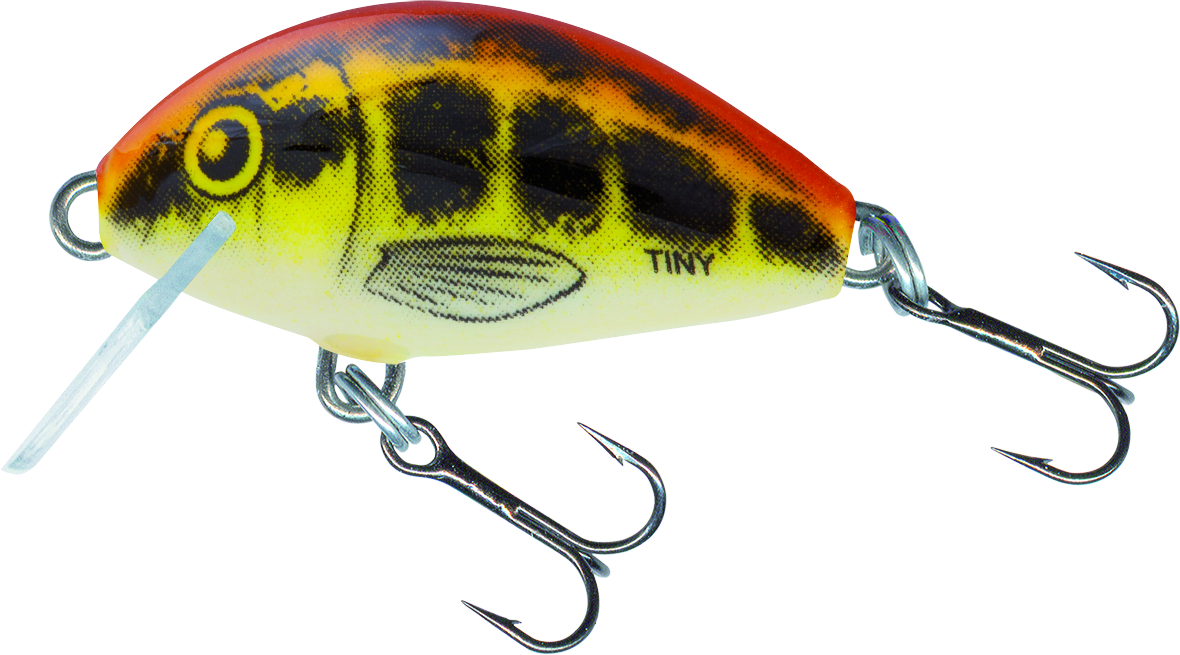 Tiny Floating 3cm Baby Minnow