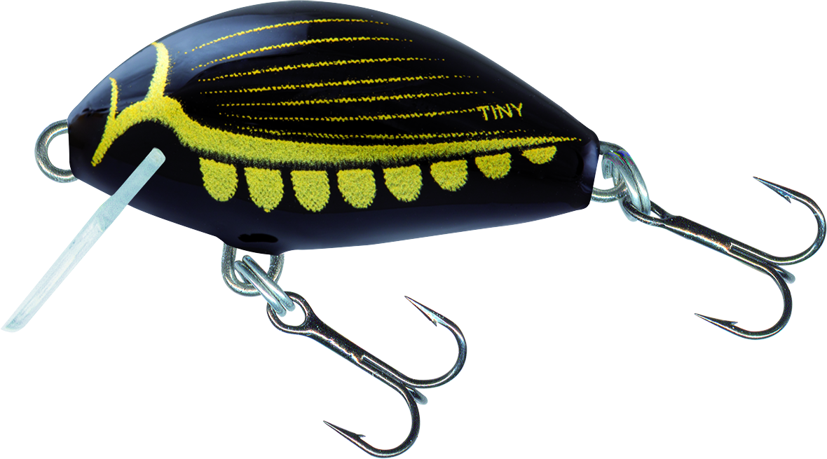 Tiny Floating 3cm Diving Beetle