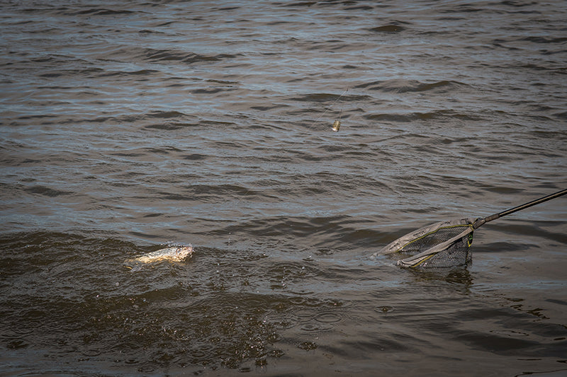 Matrix Plastic Bottom Weighted Feeders