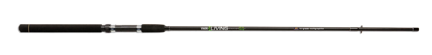 2BUC.VIGOR LIVING ROD 2,55M/60G