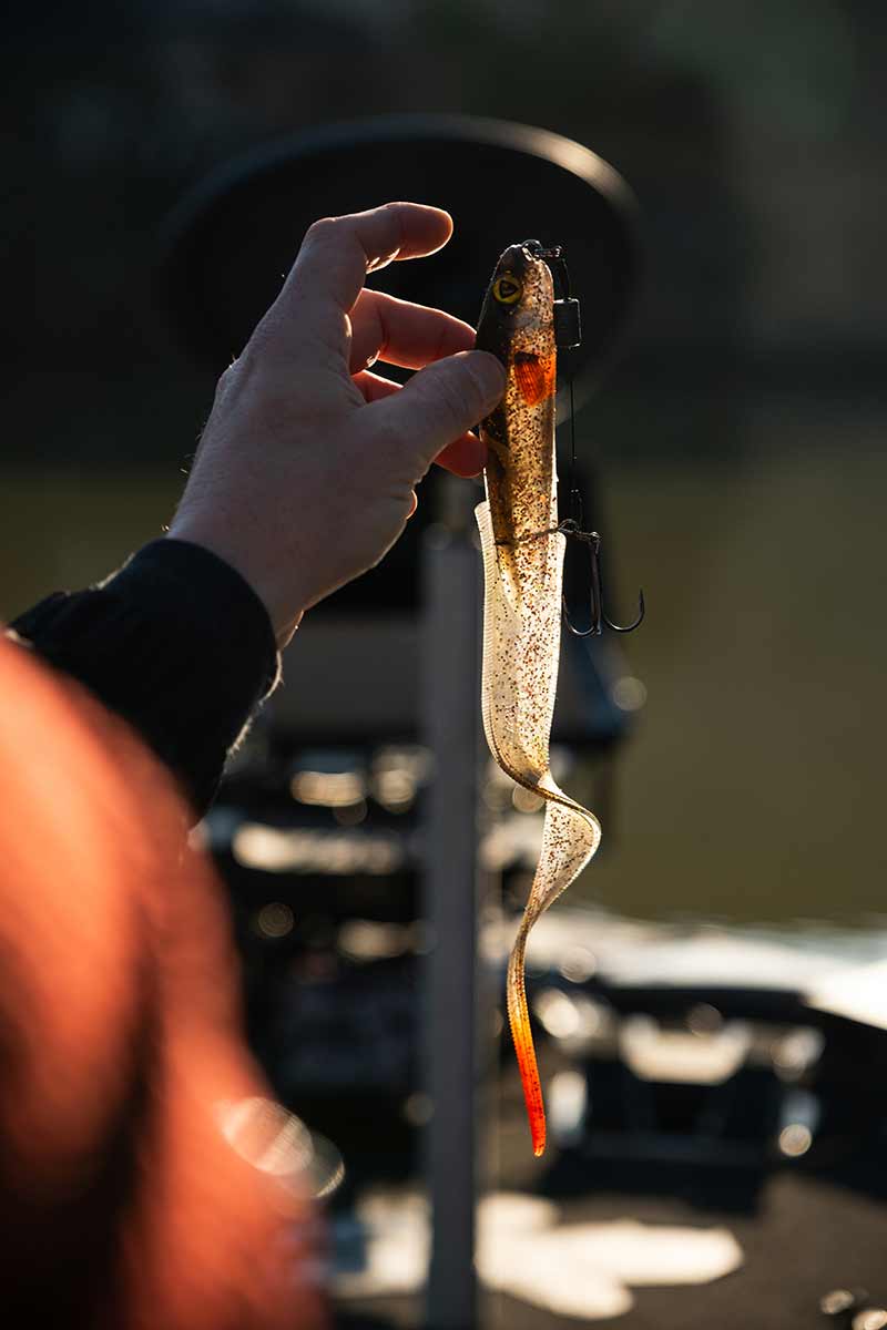 Fox Rage Slick Eel Loaded