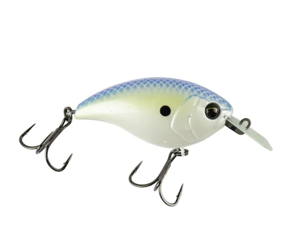 BLF SHALLOW RUNNER 5,5CM/14G SASSY