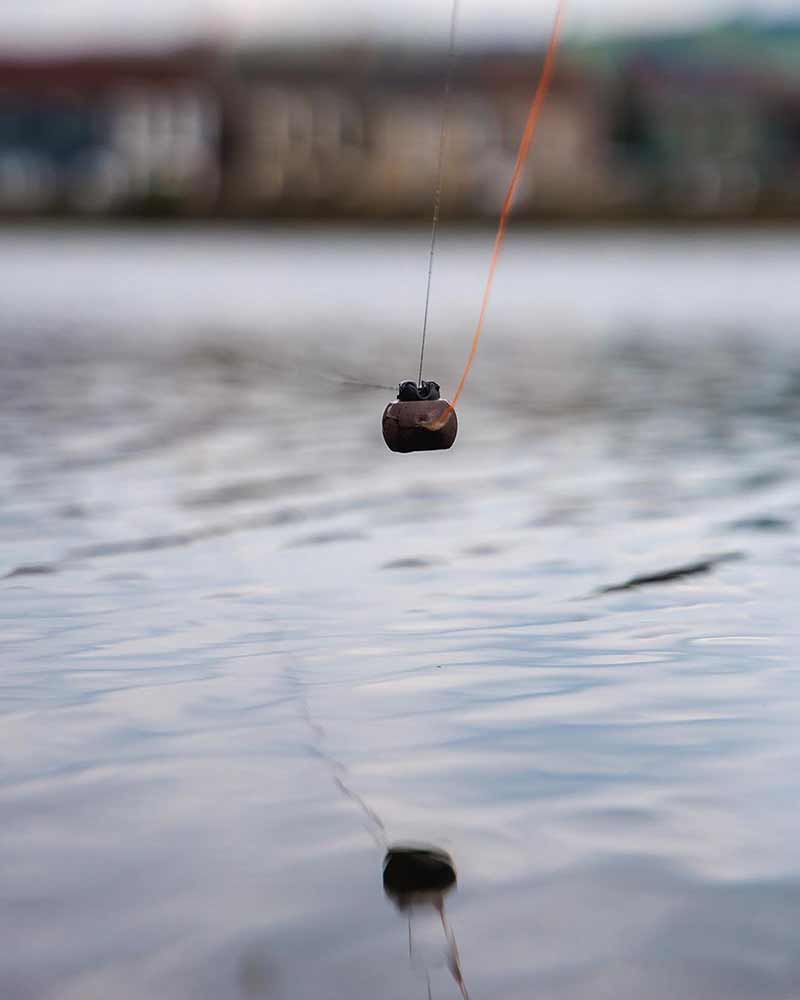 Fox Captive Backweight