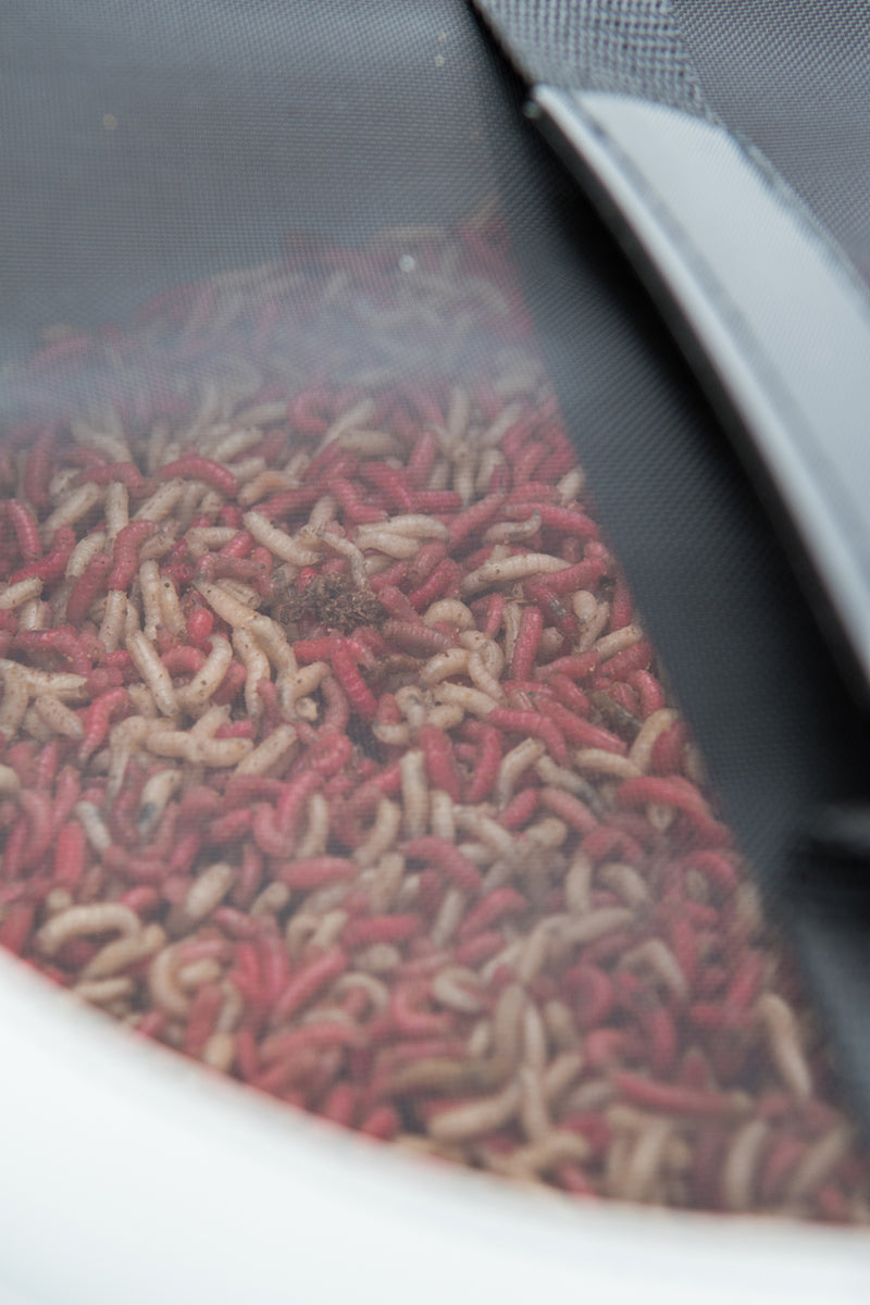 Matrix EVA Airflow Bowls