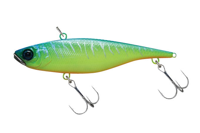 TN SLIM 8 8CM/12G BLUEBACK TIGER