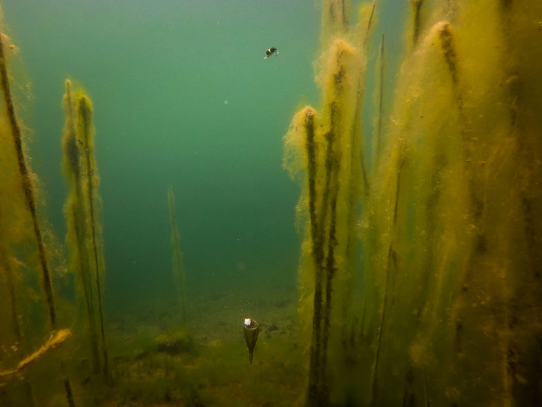 Fox EDGES™ Zig Float Kit