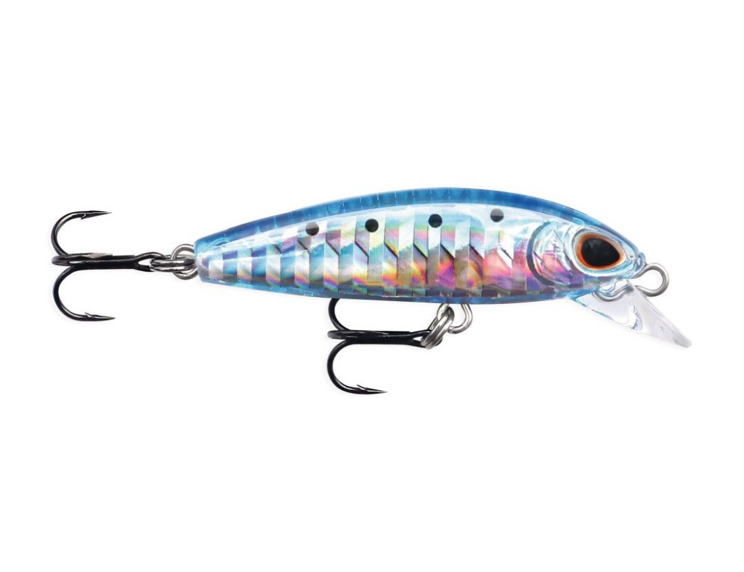 GOMOKU DENSE 48 SARDINE