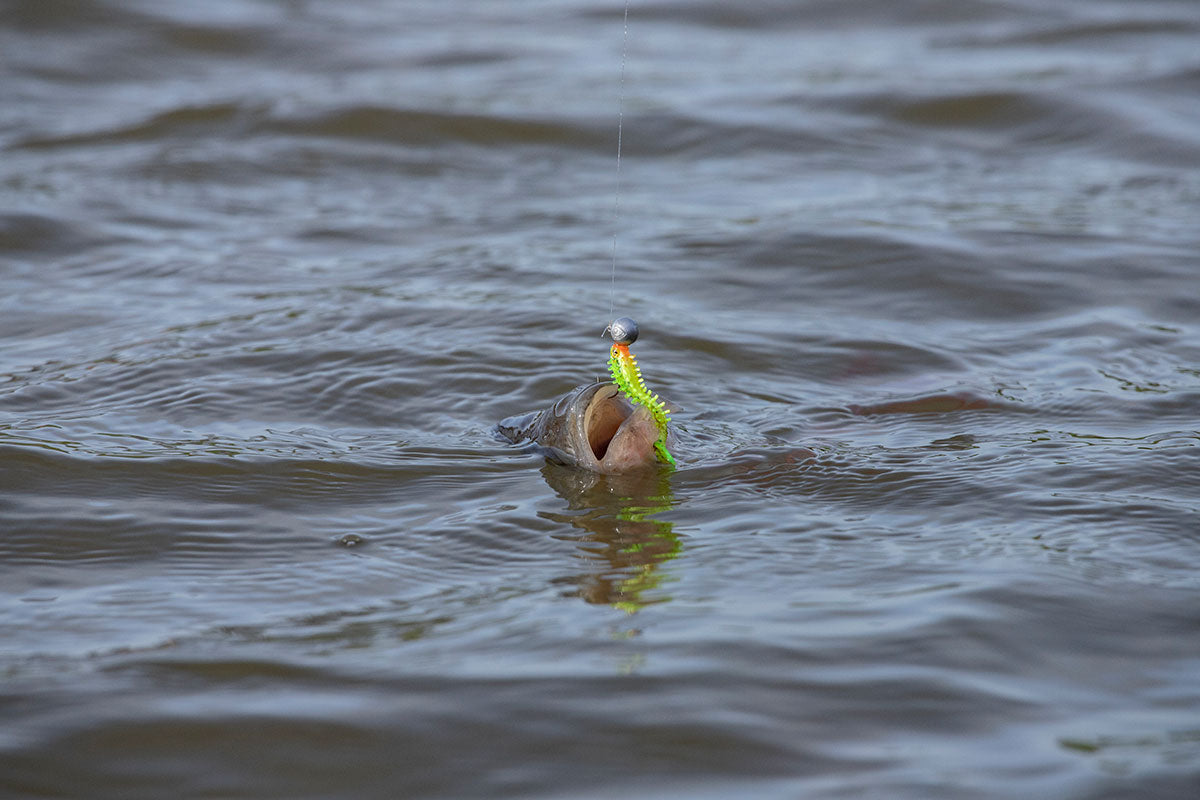Fox Rage Micro Jig Heads