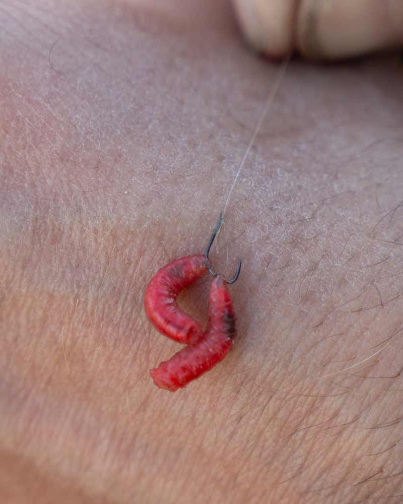 Matrix X2 - Commercial F1 Hooks