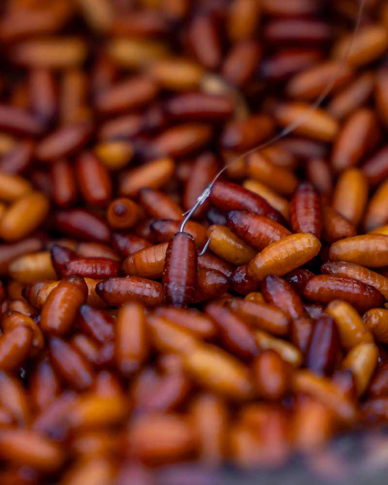 Matrix X4 - Commercial Silvers Hooks