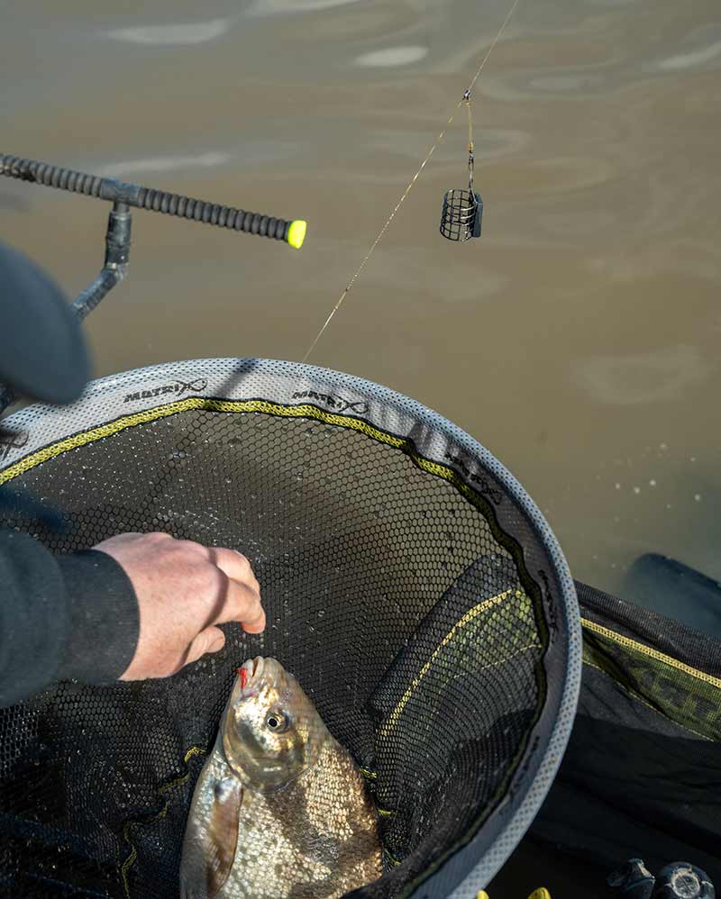 Matrix Moulded Feeder Links