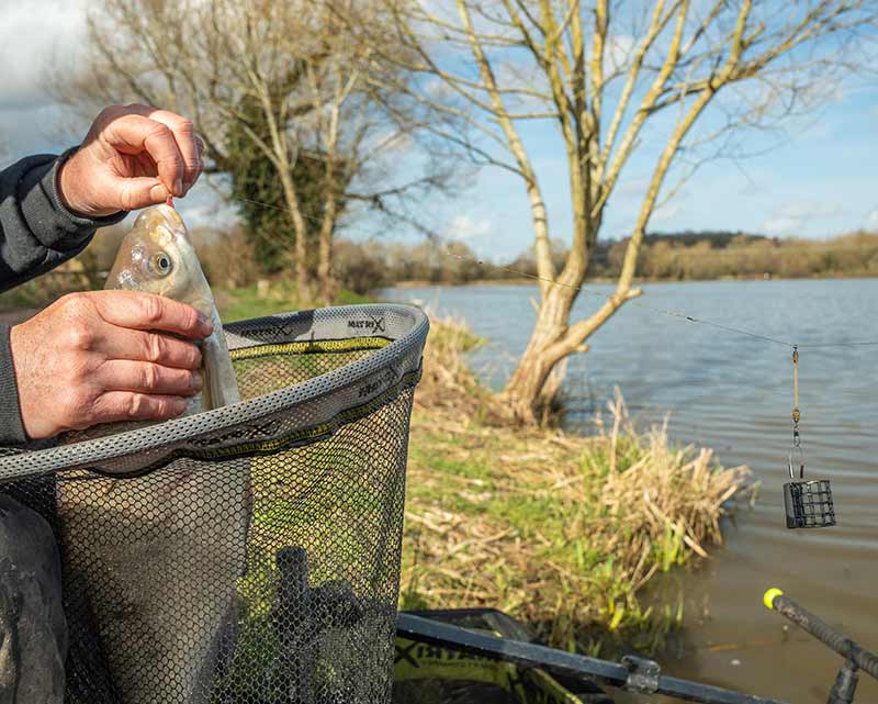 Matrix Moulded Feeder Links