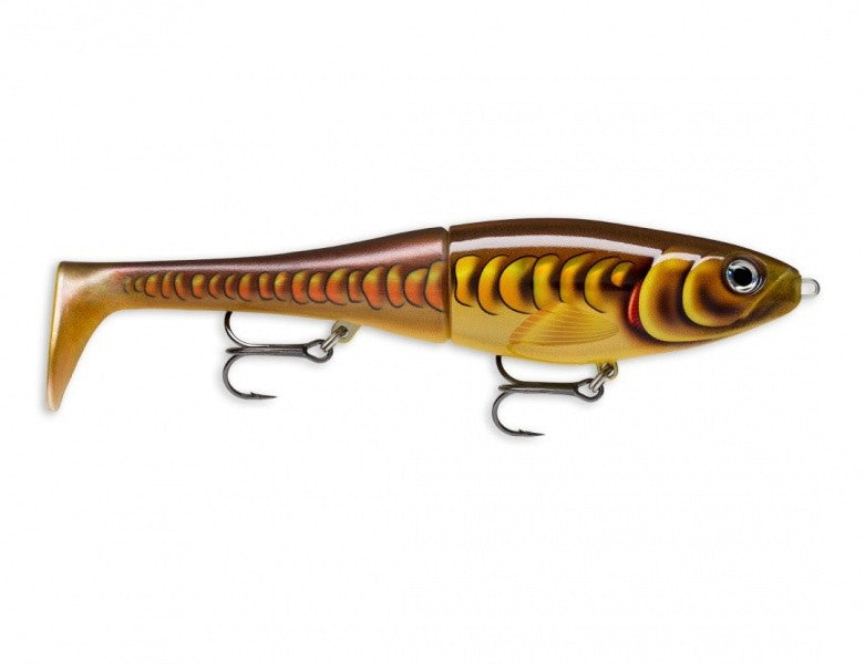 RAPALA X-RAP PETO 14
