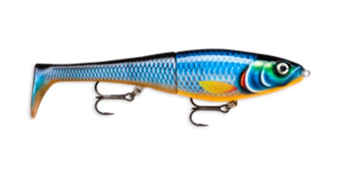 RAPALA X-RAP PETO XRPT14 BGH