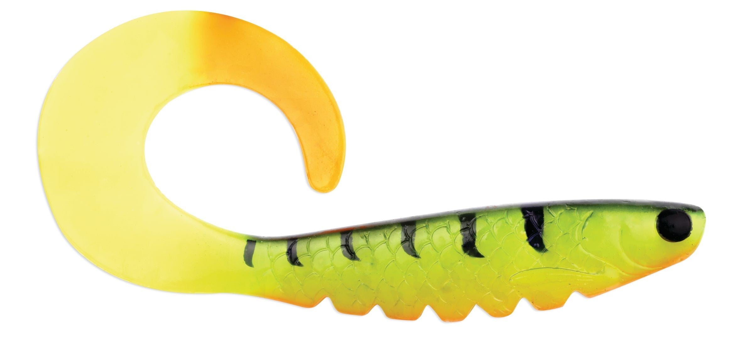 R.I.P. CURLY TAIL 06 FIRE PERCH