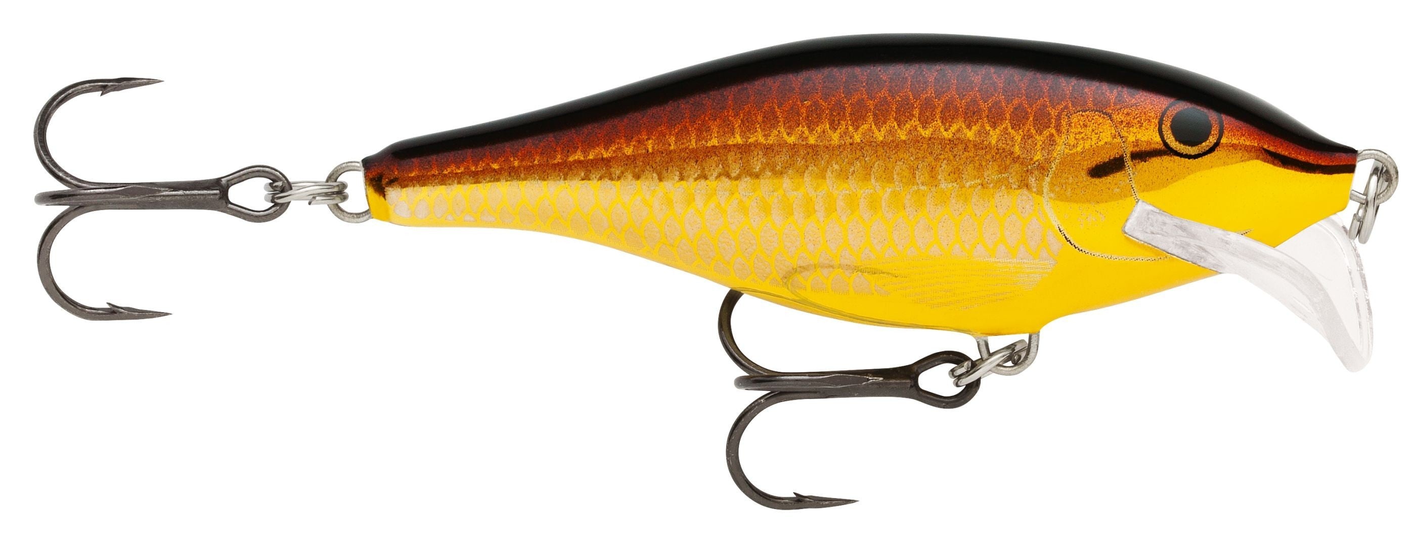 SCATTER RAP SHAD SCRS07 GALB