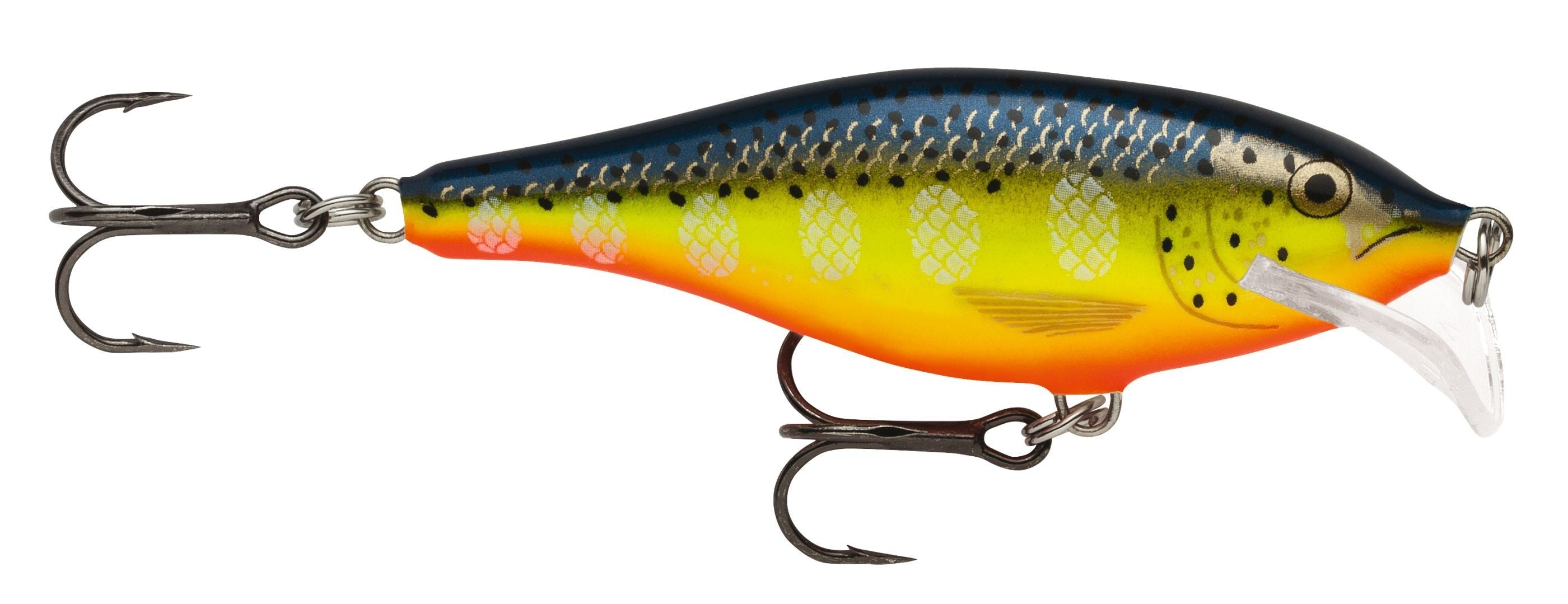 SCATTER RAP SHAD SCRS07 HS
