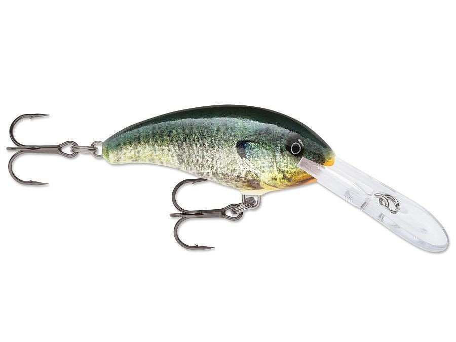 SHAD DANCER SDD04 BGL