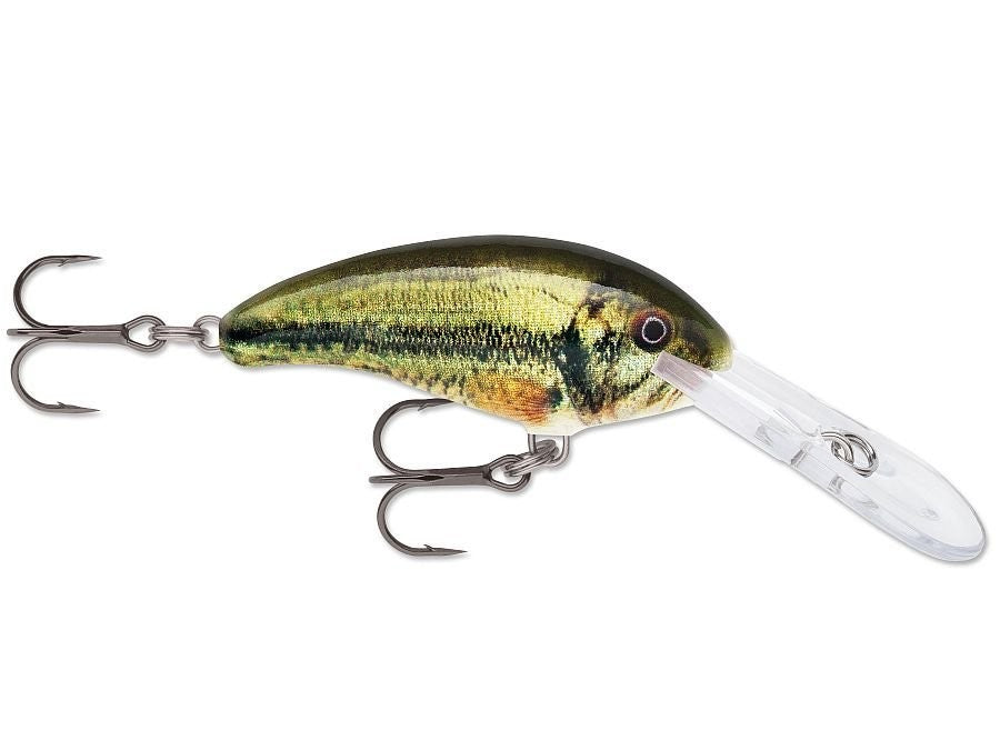 SHAD DANCER SDD04 LBL