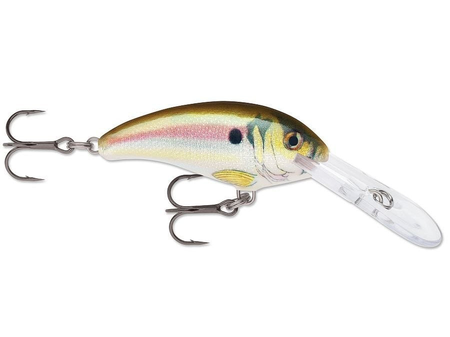 SHAD DANCER SDD04 RSL