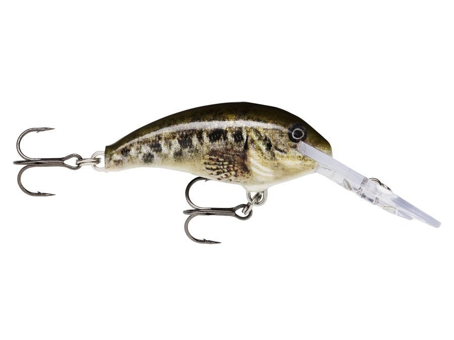 SHAD DANCER SDD04 SCPL