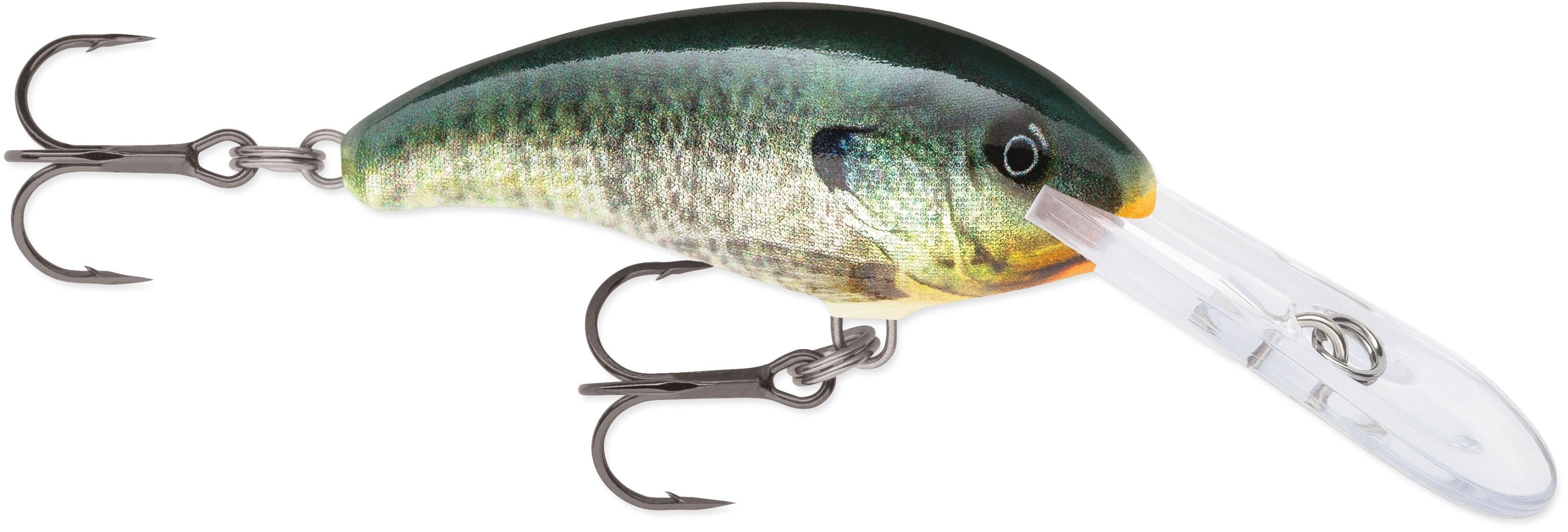 SHAD DANCER SDD05 BGL