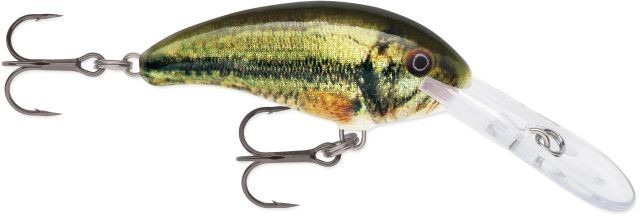 SHAD DANCER SDD05 LBL