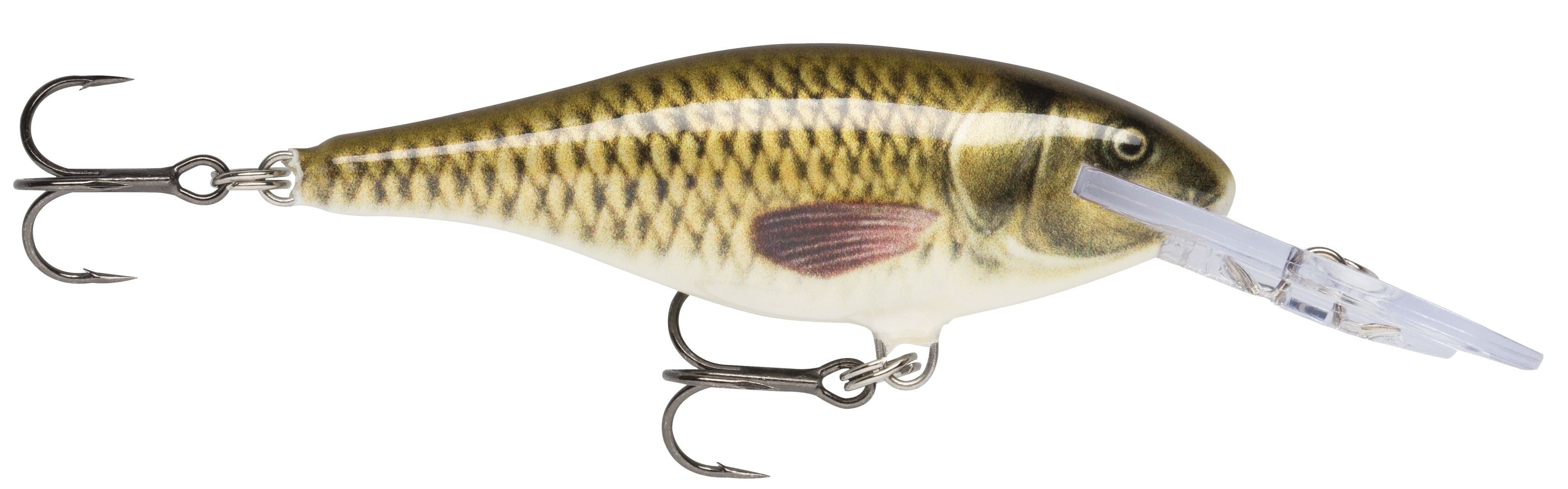 SHAD RAP SR05 CARP