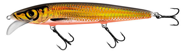 Minnow Floating 2"