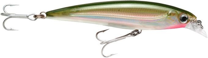 X-RAP SALTWATER SXR10 OG