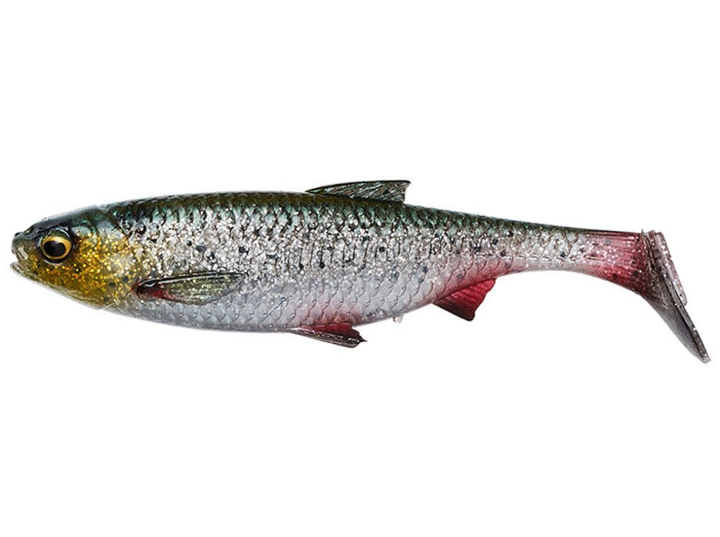 SHAD 3D RIVER ROACH 10CM/10G GREEN SILVER 4BUC/PL