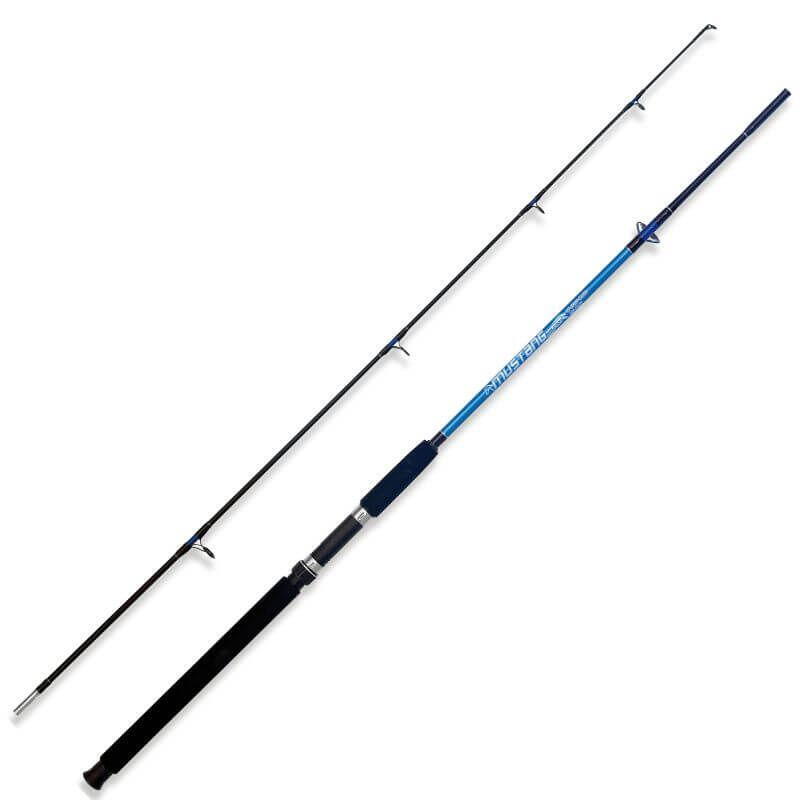MUSTANG 2BUC EVOLUTION 2,40M 100-250G