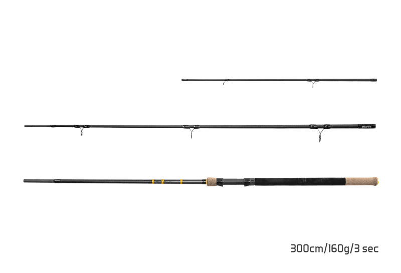 Delphin RIVER Trophy NXT + 4 vărfuri 300cm/160g/3 tronsoane