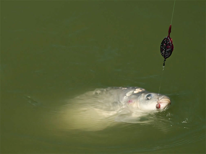 Method feeder Delphin Method QUIX L / 50g