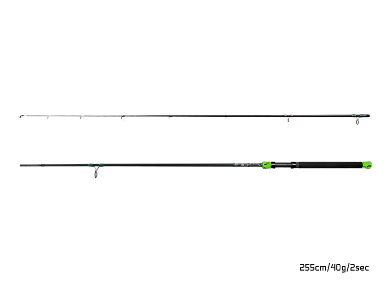 Delphin GreenCODE Hard 270cm/60g/2 tronsoane