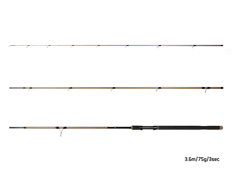Delphin LEGIA CarpMATCH 330cm/75g/3 tronsoane