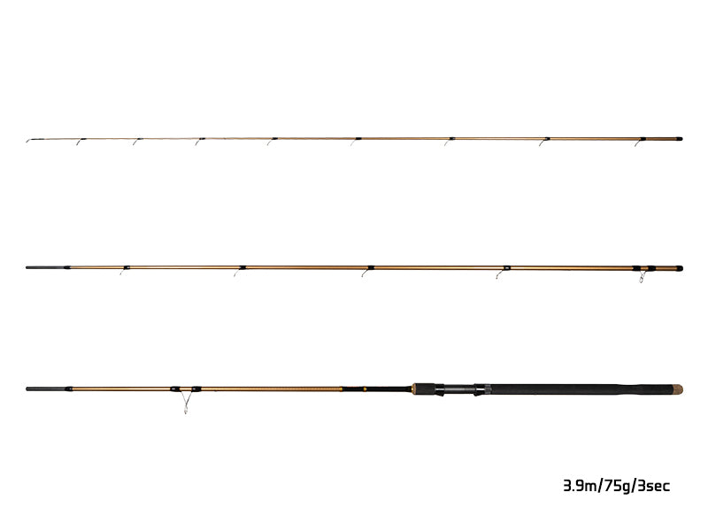 Delphin LEGIA CarpMATCH 330cm/75g/3 tronsoane