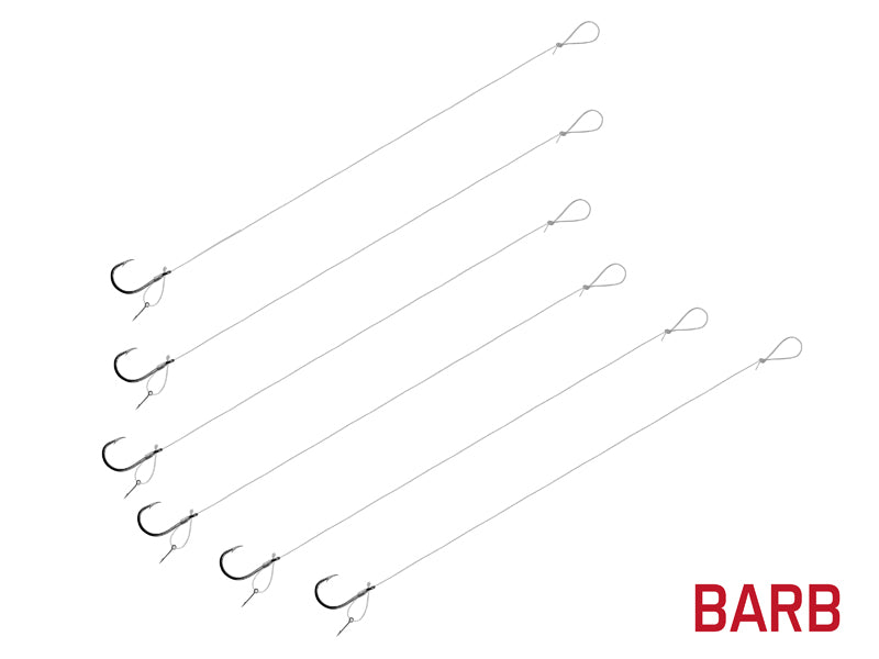 Montură Delphin FLR D-rig / 6buc 8cm / 0,22mm / BARB #6 / Sting 7mm